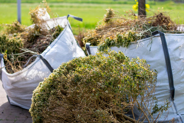 Best Junk Removal Near Me  in Coronita, CA